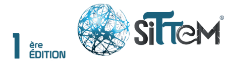 logo-sittem-2019-1